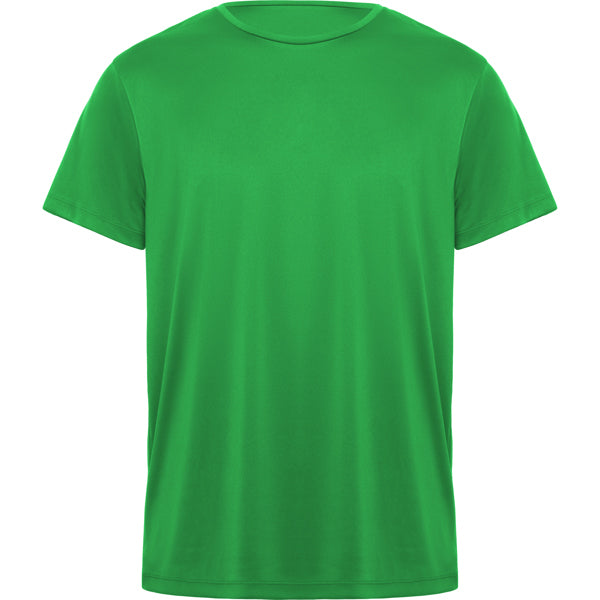 DAYTONA - VERDE HELECHO