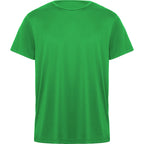 DAYTONA - VERDE HELECHO