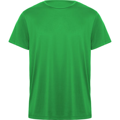 DAYTONA - VERDE HELECHO