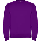 CLASICA - PURPURA