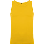 TEXAS - AMARILLO GOLDEN