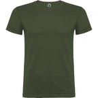 BEAGLE - VERDE AVENTURA