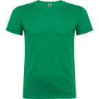 BEAGLE - VERDE KELLY