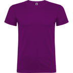 BEAGLE - PURPURA