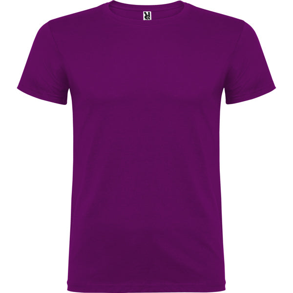 BEAGLE - PURPURA
