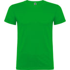 BEAGLE - VERDE GRASS