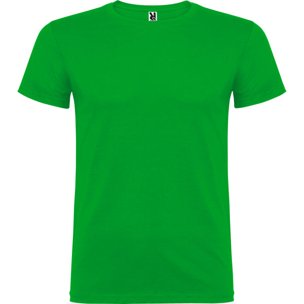 BEAGLE - VERDE GRASS