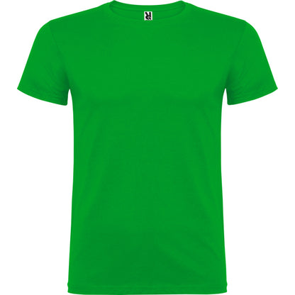 BEAGLE - VERDE GRASS