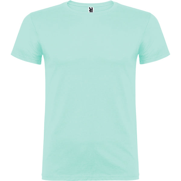 BEAGLE - VERDE MENTA