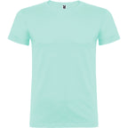 BEAGLE - VERDE MENTA