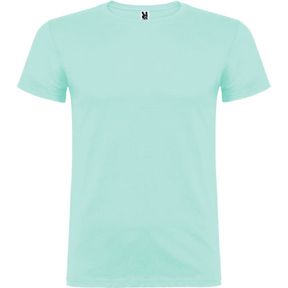 BEAGLE - VERDE MENTA
